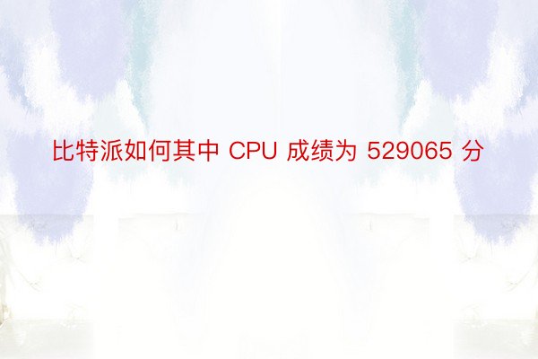 比特派如何其中 CPU 成绩为 529065 分