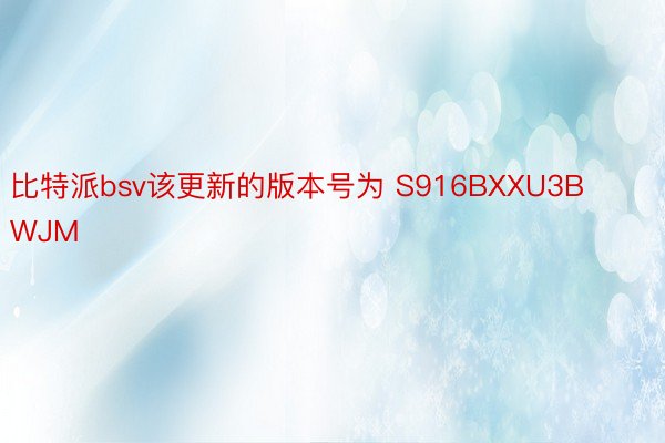 比特派bsv该更新的版本号为 S916BXXU3BWJM