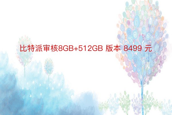 比特派审核8GB+512GB 版本 8499 元