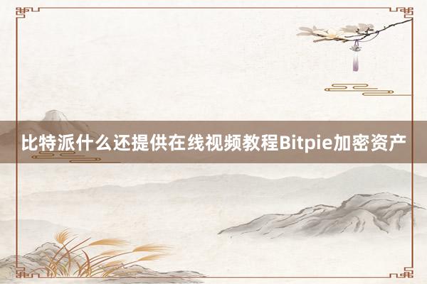 比特派什么还提供在线视频教程Bitpie加密资产