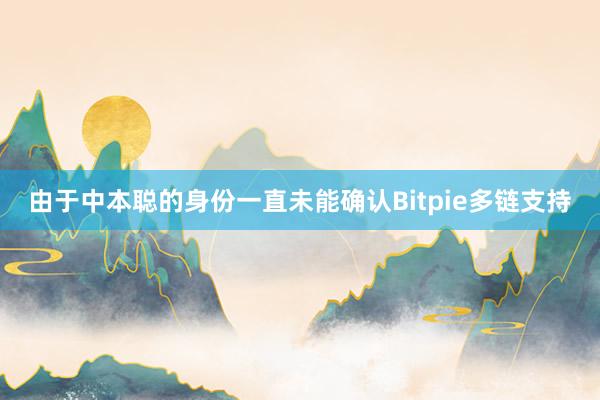 由于中本聪的身份一直未能确认Bitpie多链支持