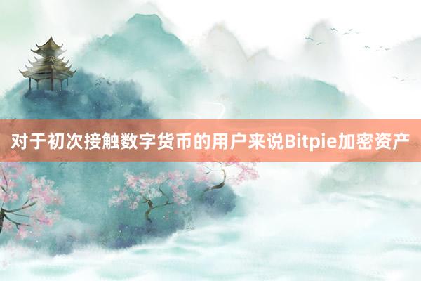 对于初次接触数字货币的用户来说Bitpie加密资产