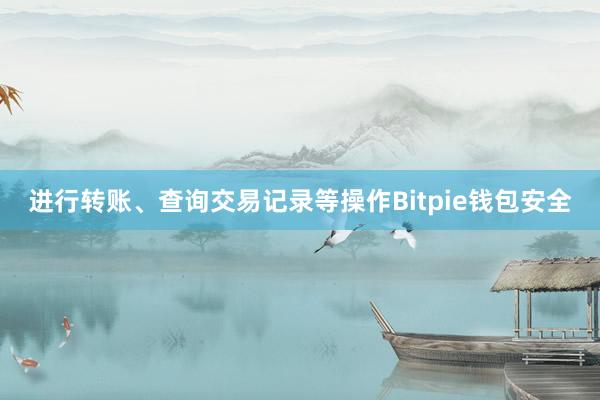 进行转账、查询交易记录等操作Bitpie钱包安全