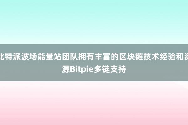 比特派波场能量站团队拥有丰富的区块链技术经验和资源Bitpie多链支持