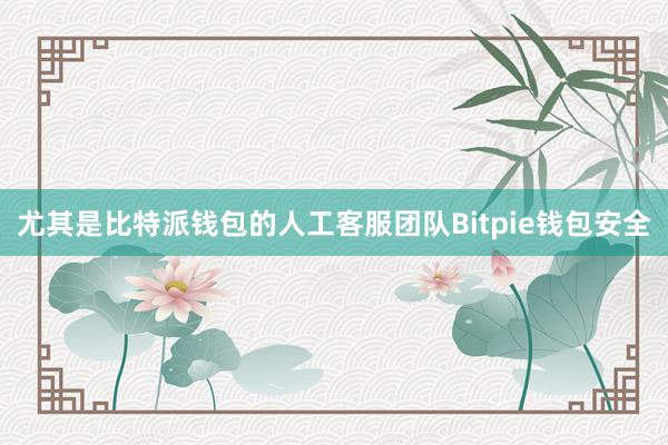 尤其是比特派钱包的人工客服团队Bitpie钱包安全