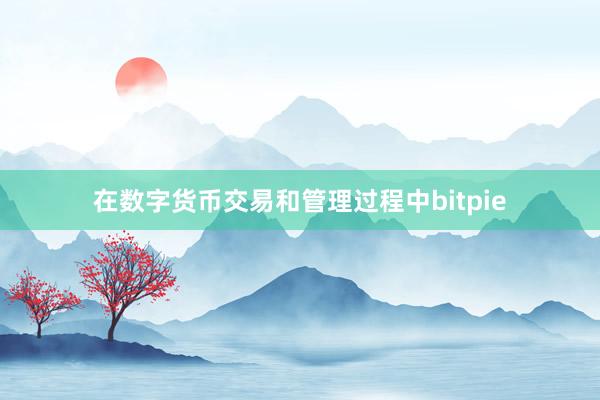 在数字货币交易和管理过程中bitpie