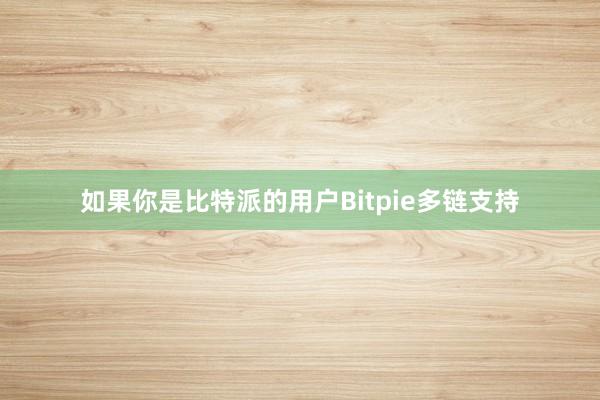 如果你是比特派的用户Bitpie多链支持