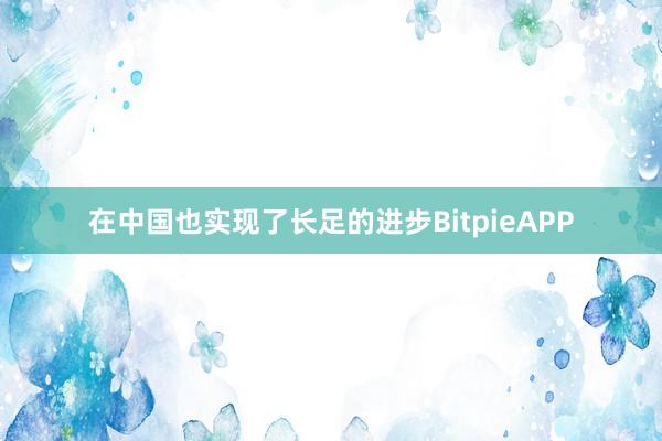 在中国也实现了长足的进步BitpieAPP