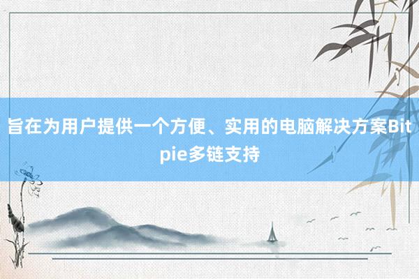 旨在为用户提供一个方便、实用的电脑解决方案Bitpie多链支持