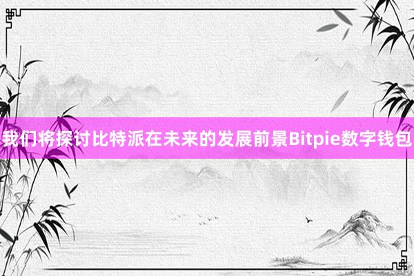 我们将探讨比特派在未来的发展前景Bitpie数字钱包