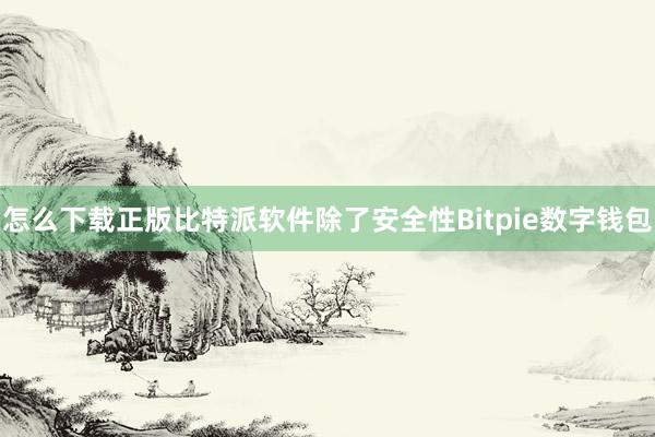 怎么下载正版比特派软件除了安全性Bitpie数字钱包