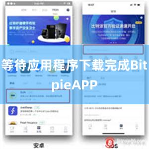 等待应用程序下载完成BitpieAPP