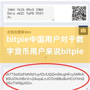 bitpie中国用户对于数字货币用户来说bitpie